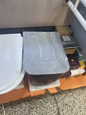 Concealed Toilets