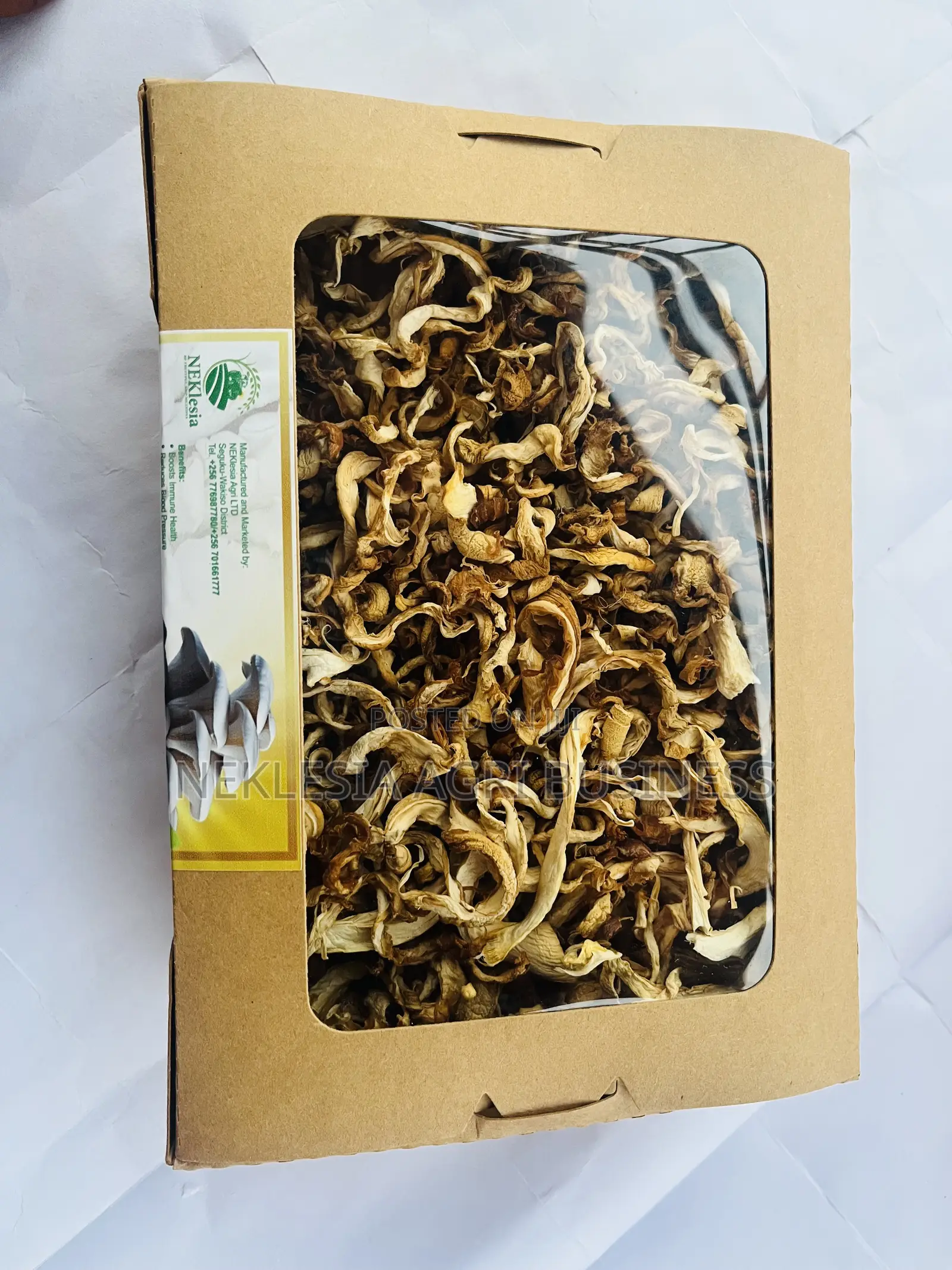 Dried Mushroom