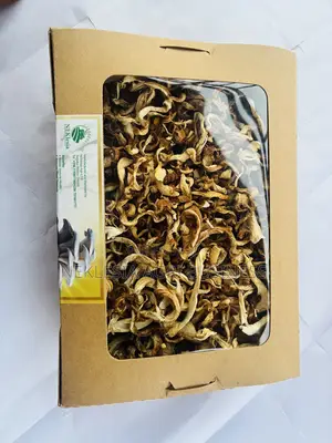Dried Mushroom
