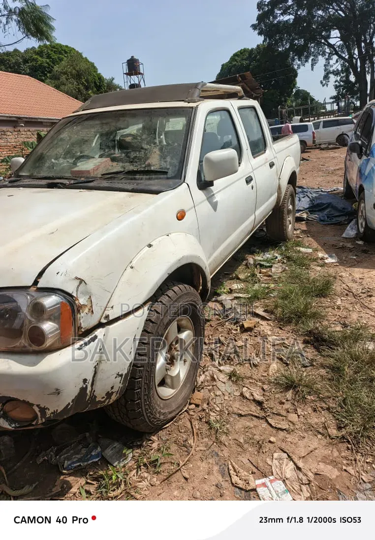 Nissan Hardbody 2014 White