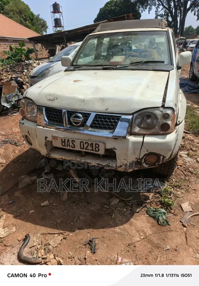 Nissan Hardbody 2014 White