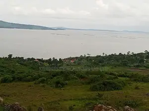 Lake View Land for Sale – Jinja Nyenga Industrial Area