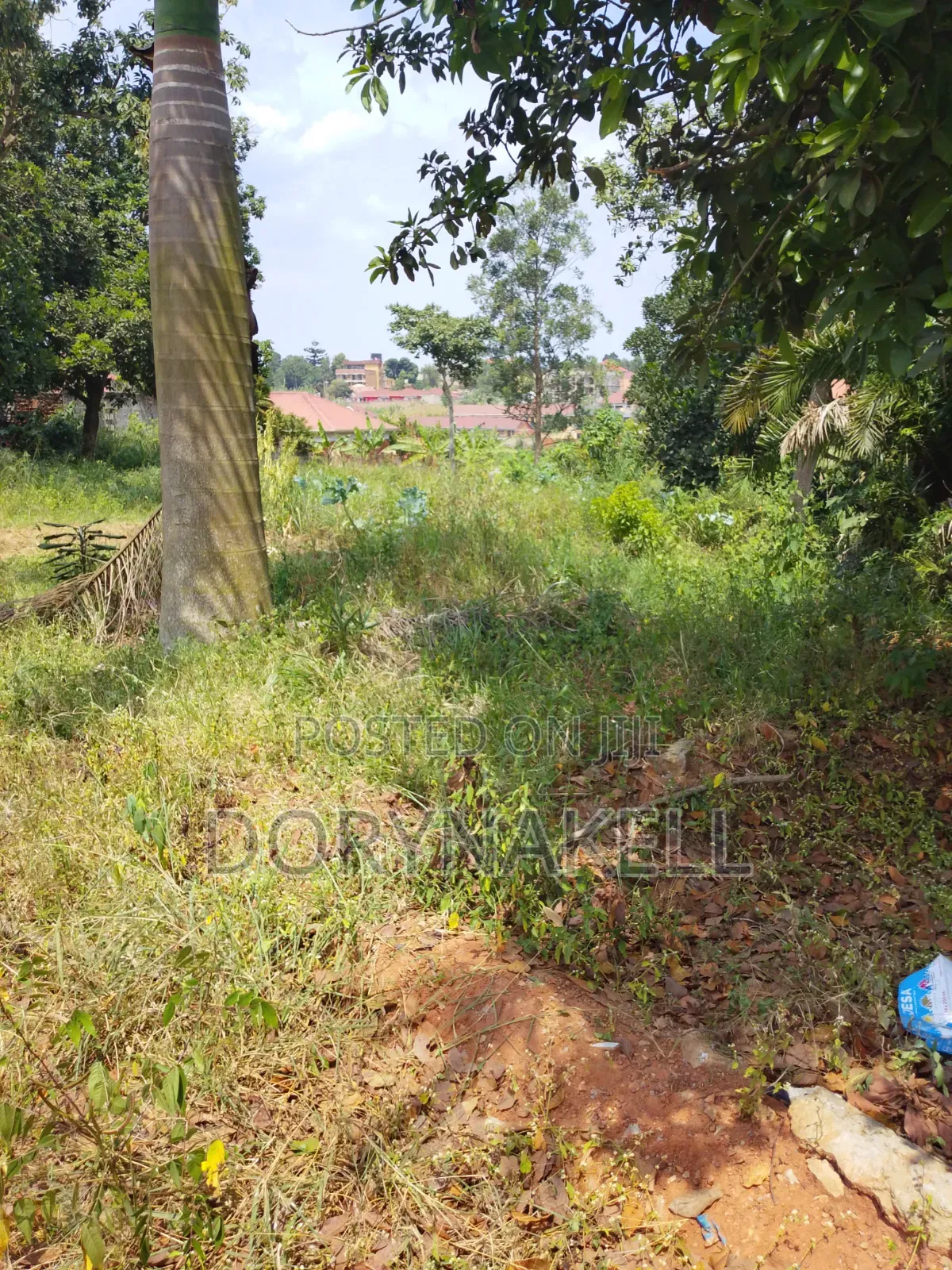 50/100 Plots in Namugongo -Nsawo Road