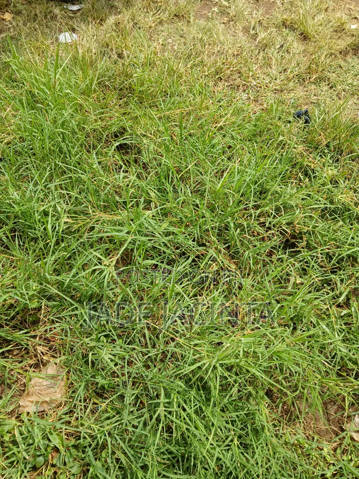 1000+ Acres for Sale in Teso