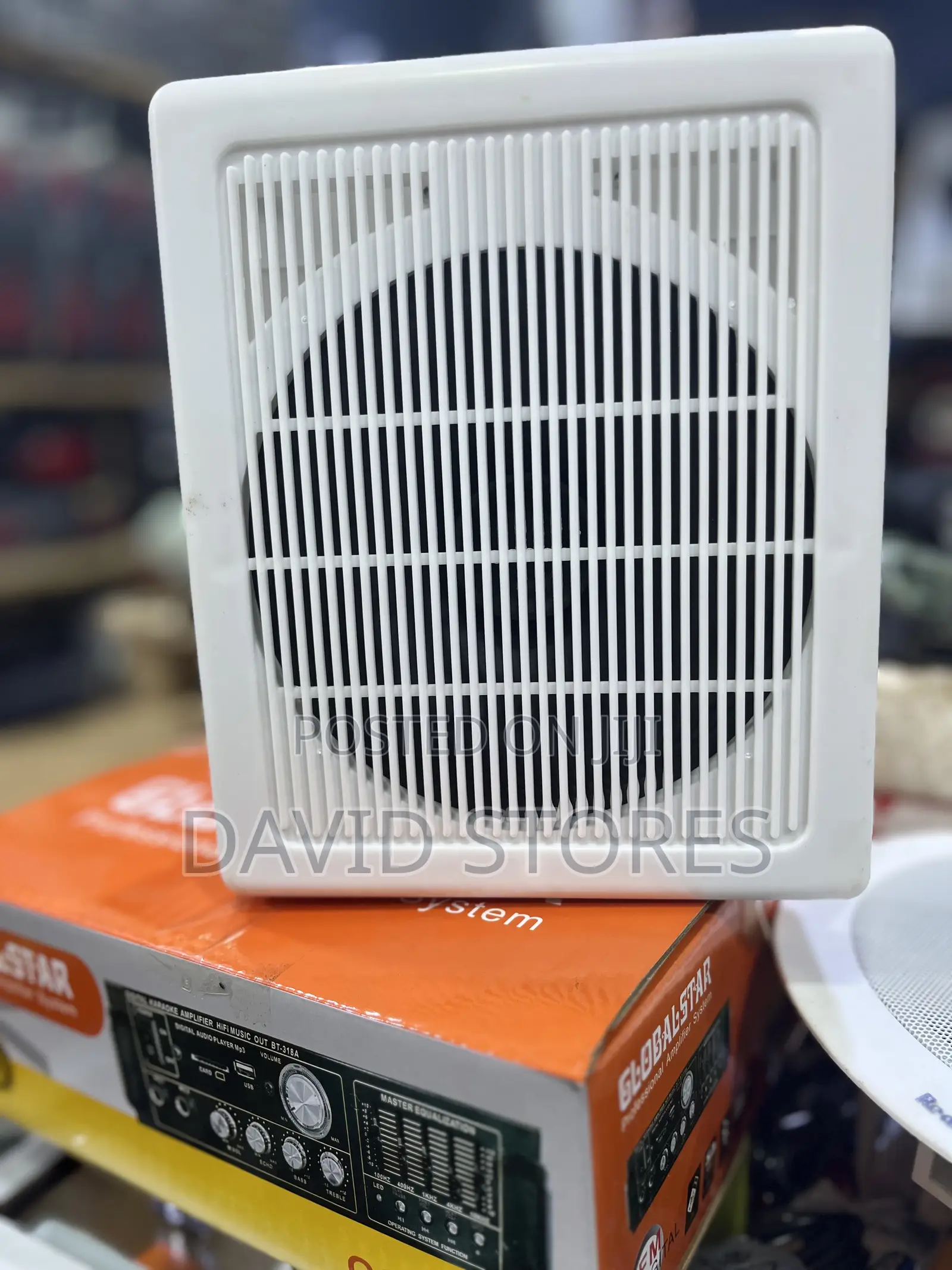 Wall Speaker – Clear Sound, Strong Output Easy Installation