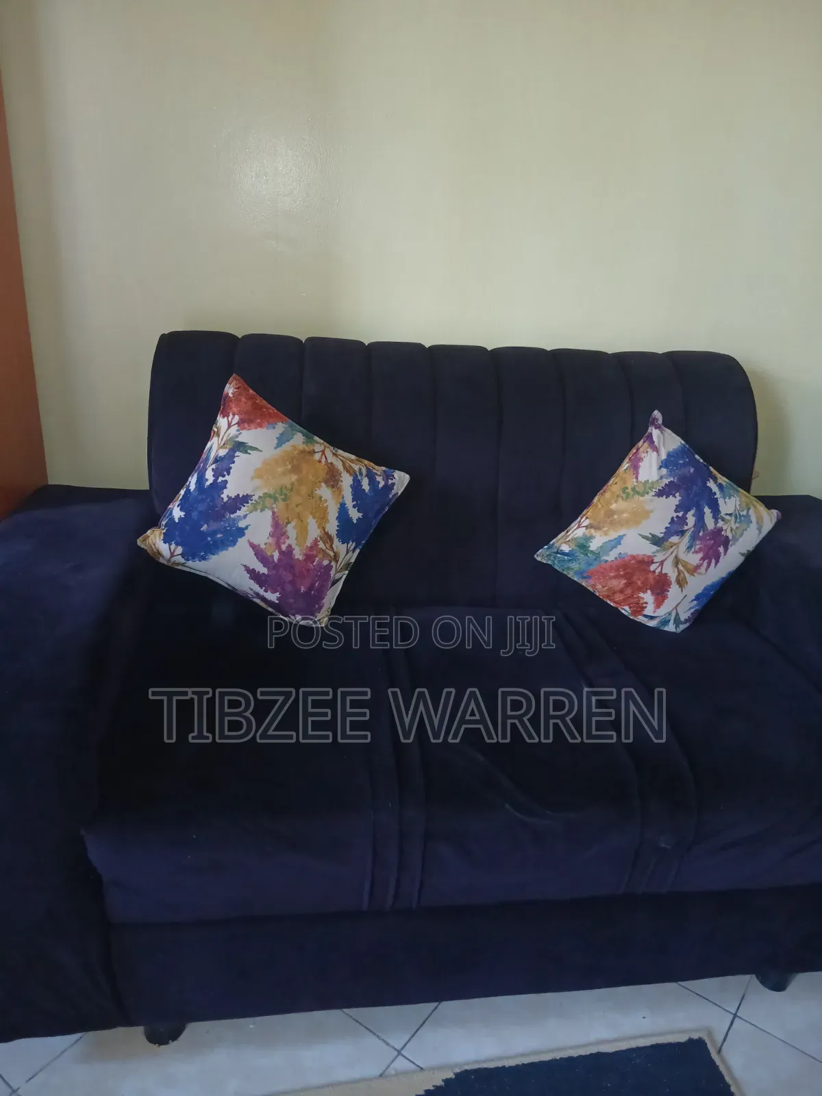 2 Sofa Sets(2 Seater) and 1 Single Seater