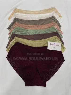 Savy Mesh Trim Bikini Panties