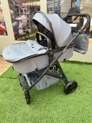 2-in-1 Baby Stroller With Carry Cot – Infant Platinum Adventure Kit