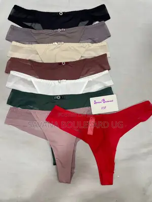 Savana Sheer Mesh Panel Thongs