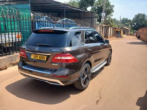 Mercedes-Benz M Class 2014 Brown