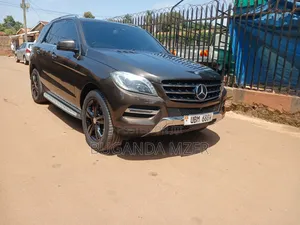 Mercedes-Benz M Class 2014 Brown