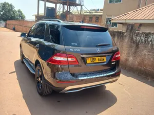 Mercedes-Benz M Class 2014 Brown