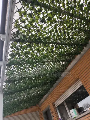 Ceiling Wall Plants Each Piece