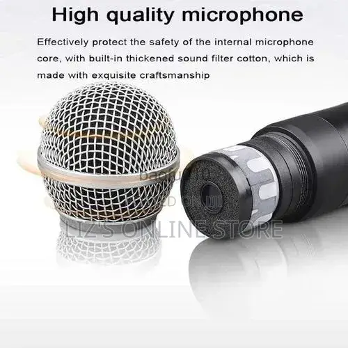 Karaoke Dual Wireless Microphone Handheld Dynamic