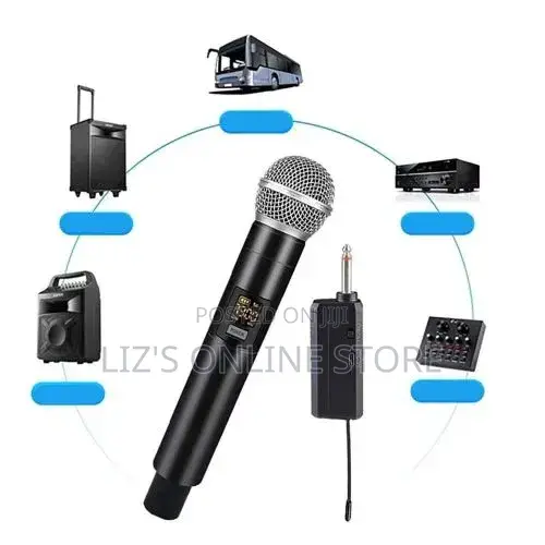 Karaoke Dual Wireless Microphone Handheld Dynamic
