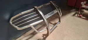 Guard Bull Bar