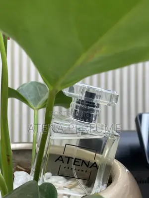 M55 Men's Perfume – Inspired By Dior Sauvage | Turkish Fragrance