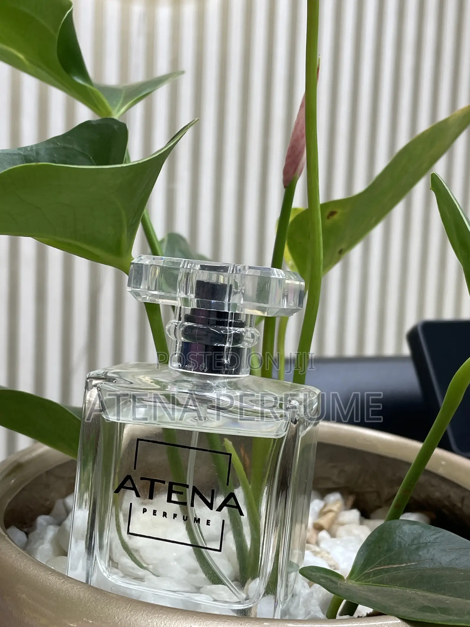 Atena M-93 Perfume | Inspired by Dior Sauvage | Turkish Fragrance 50ml