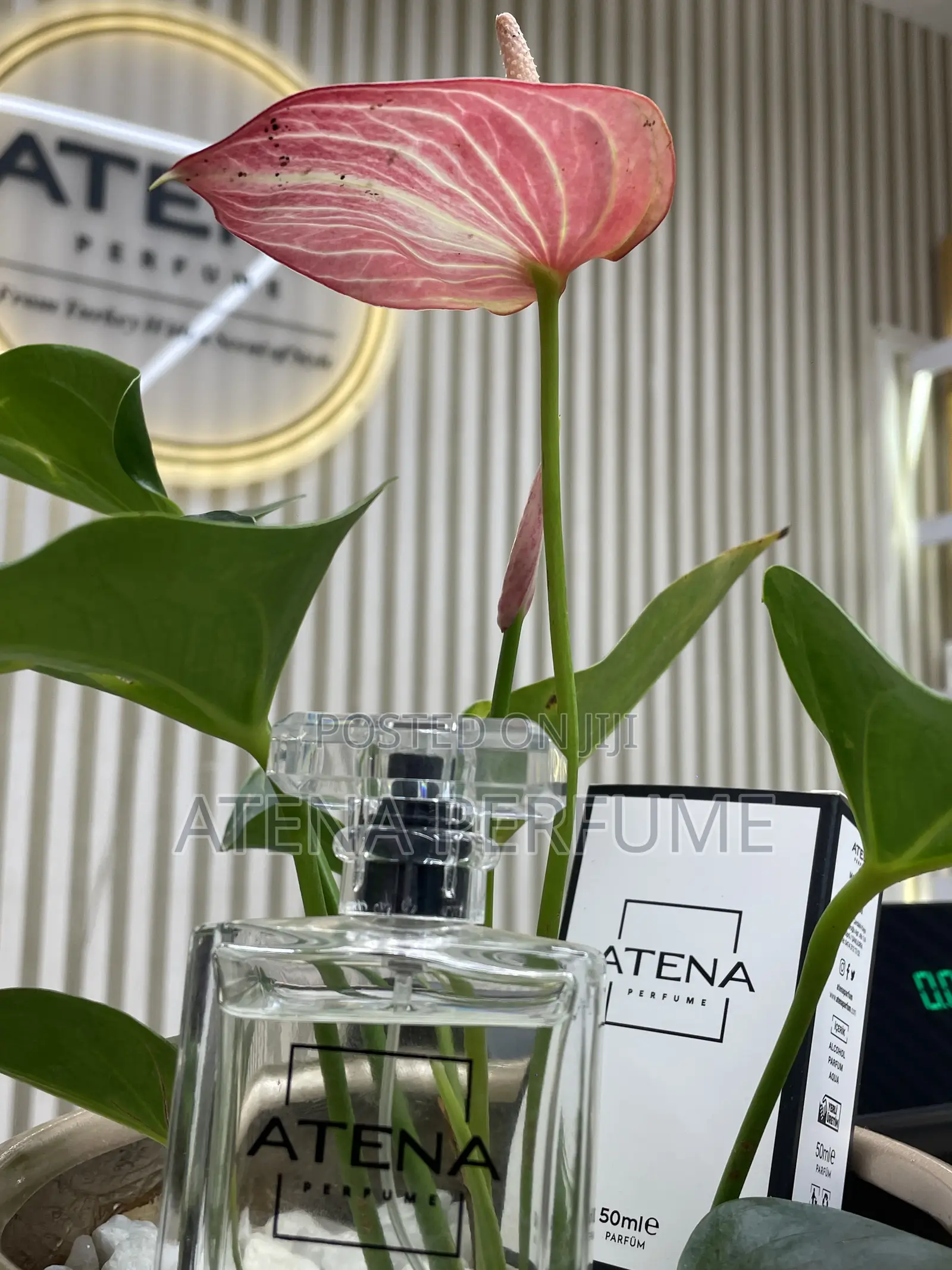 Atena M-55 Men's Perfume | by Sauvage Elixir | Turkish Fragrance 50ml