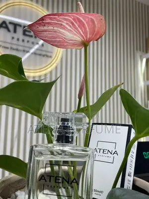 Atena M-55 Men's Perfume | by Sauvage Elixir | Turkish Fragrance 50ml