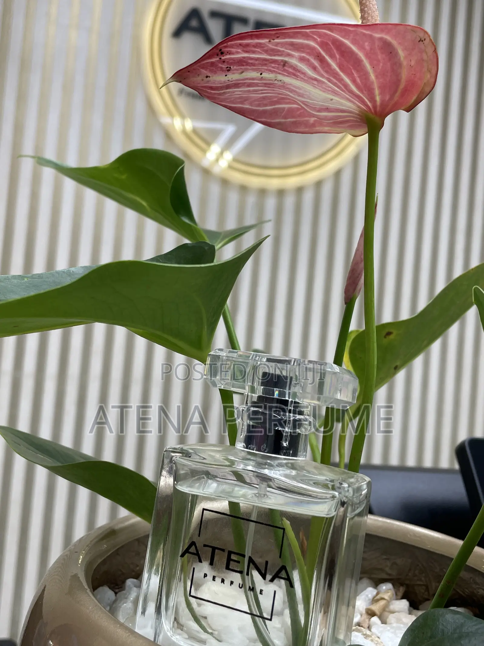 Atena M-55 Men's Perfume | by Sauvage Elixir | Turkish Fragrance 50ml