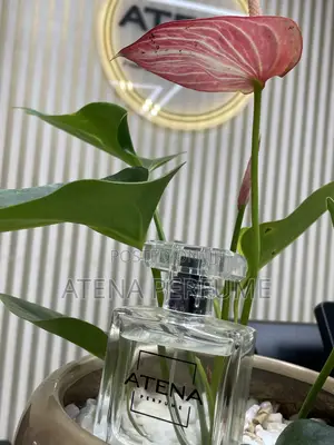 Atena M-55 Men's Perfume | by Sauvage Elixir | Turkish Fragrance 50ml