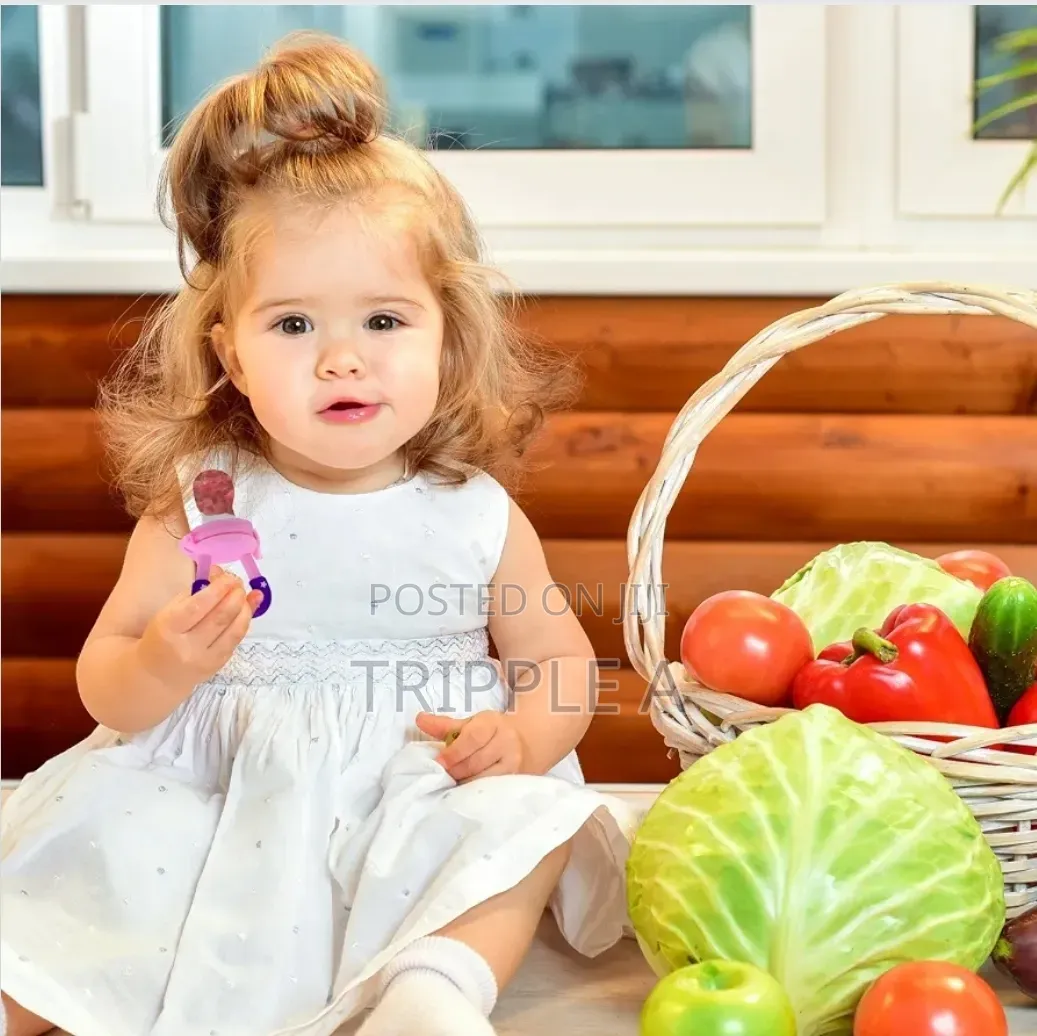 Baby Teething Fruit Feeders