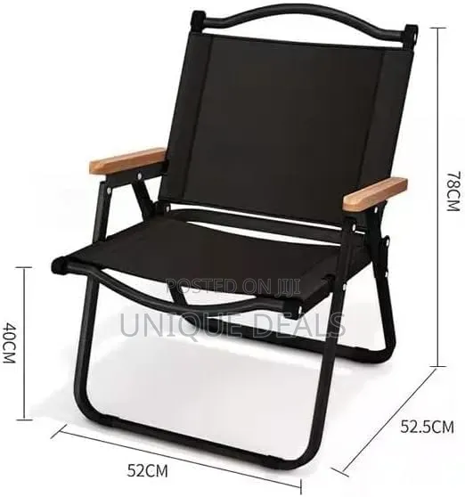 Portable Folding Picnic Chair