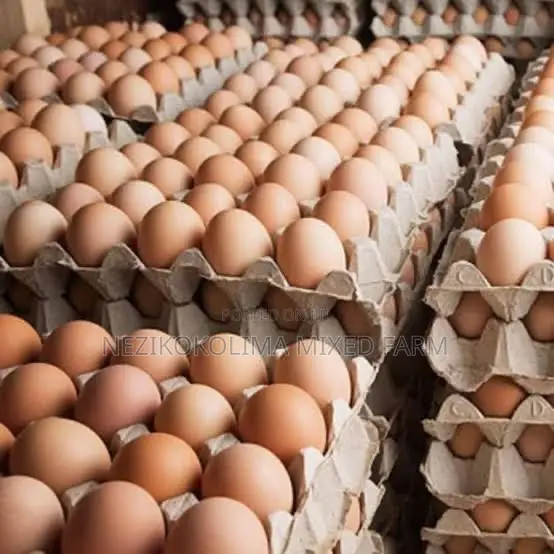 Local Breed Fertilized Eggs