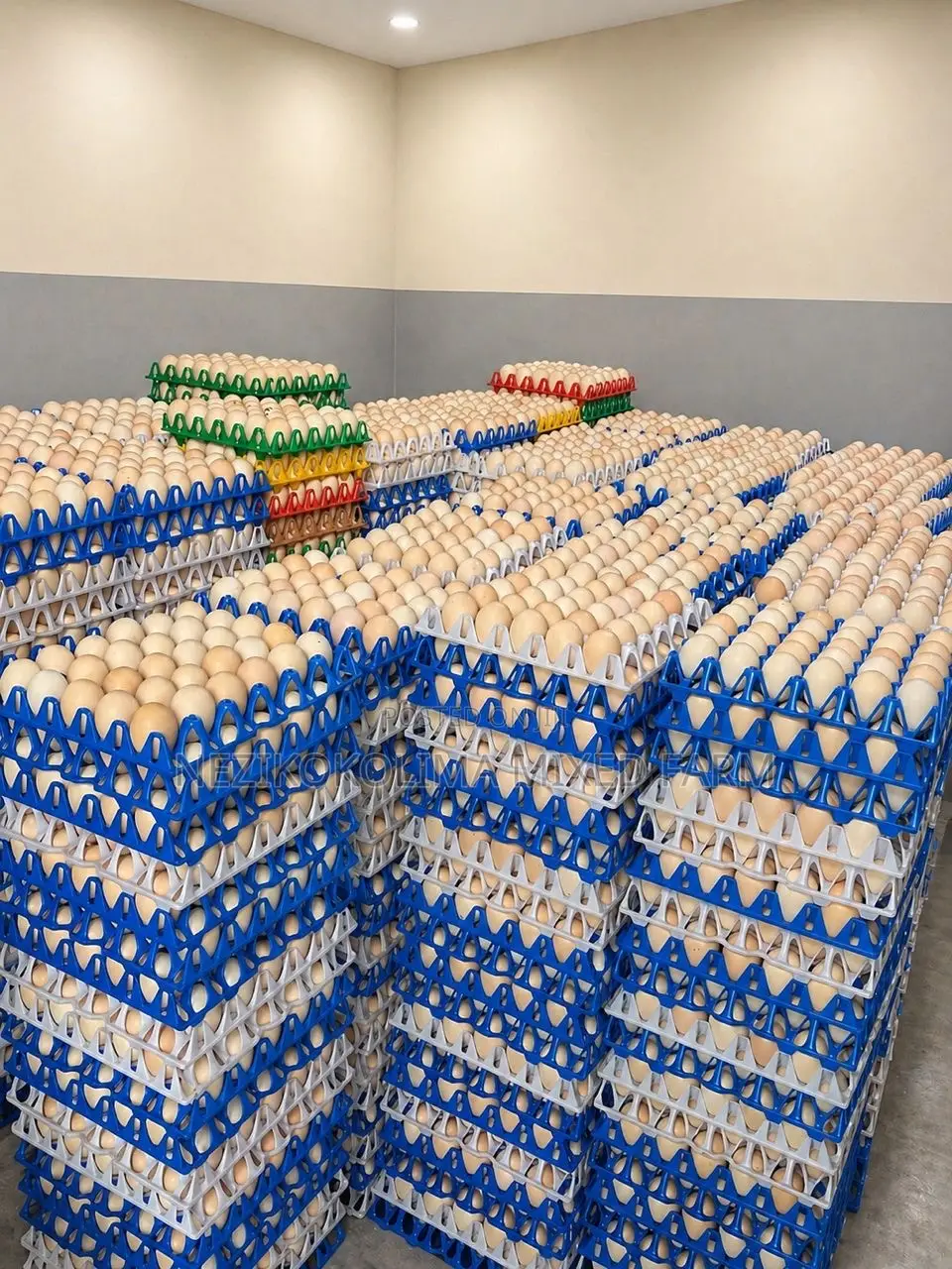 Local Breed Fertilized Eggs