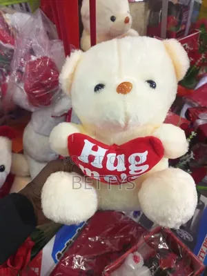 White Hug Teddy Bear