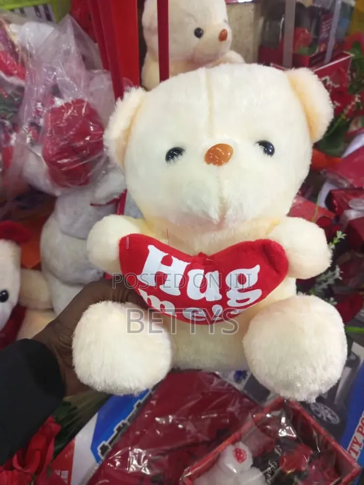 White Hug Teddy Bear