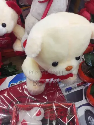White Hug Teddy Bear
