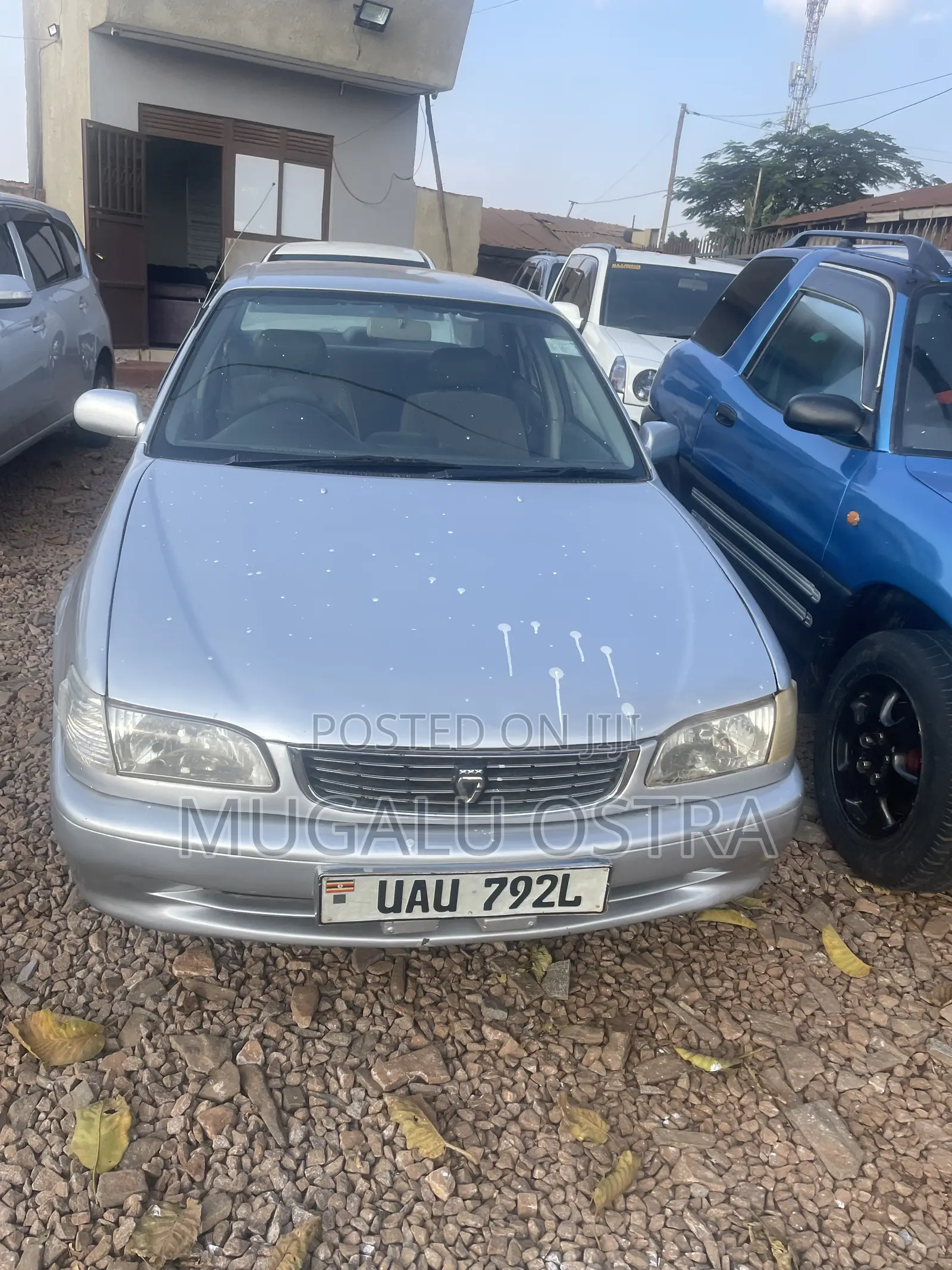 Toyota Corolla 2000 Silver