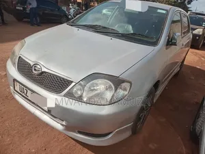Toyota Corolla RunX 2003 Silver