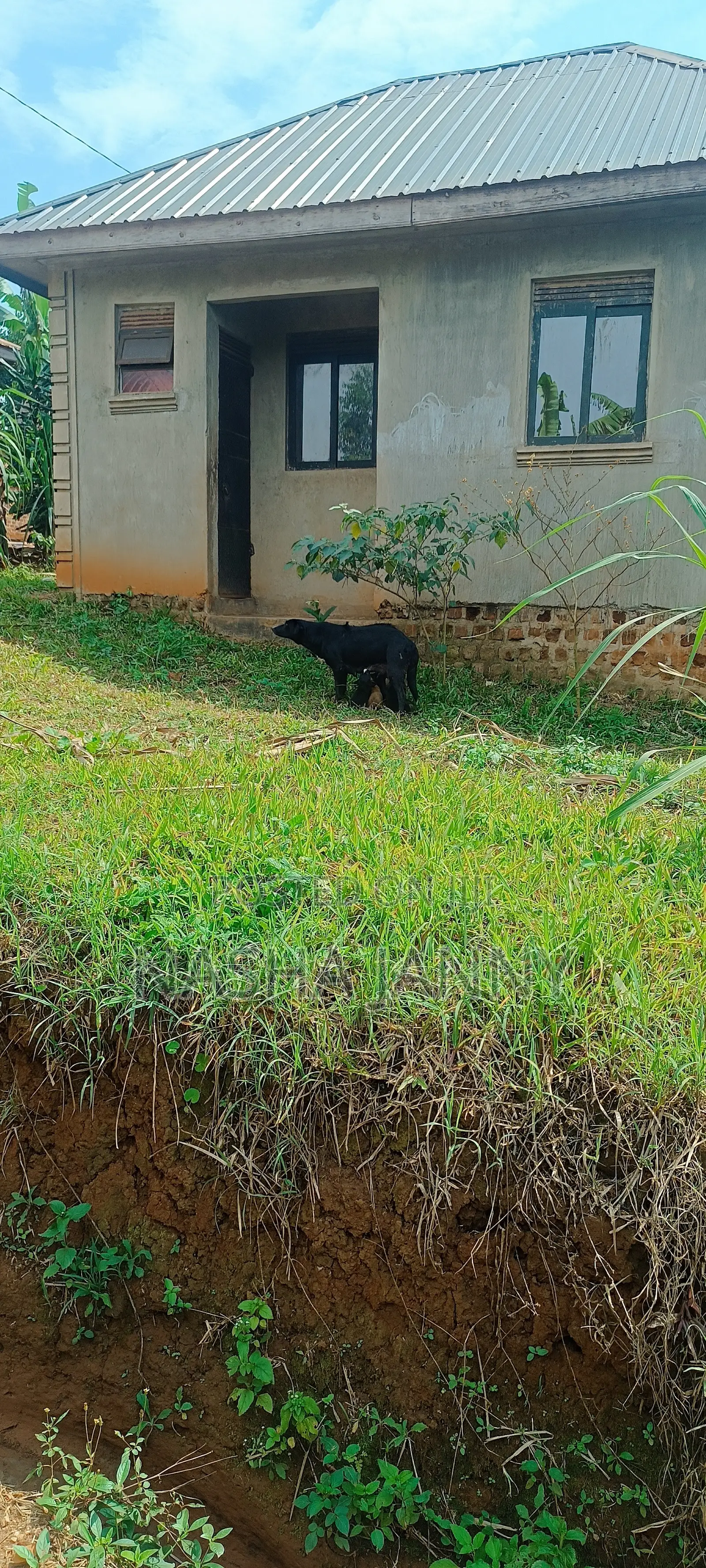 2bdrm House in Gombe for sale