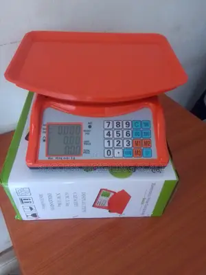 Accurate Weighing Scale Weigh 40kg Store Ground Digital Weighing Scale
