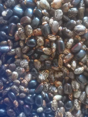 100% Pure Cold Pressed Black Castor Oil