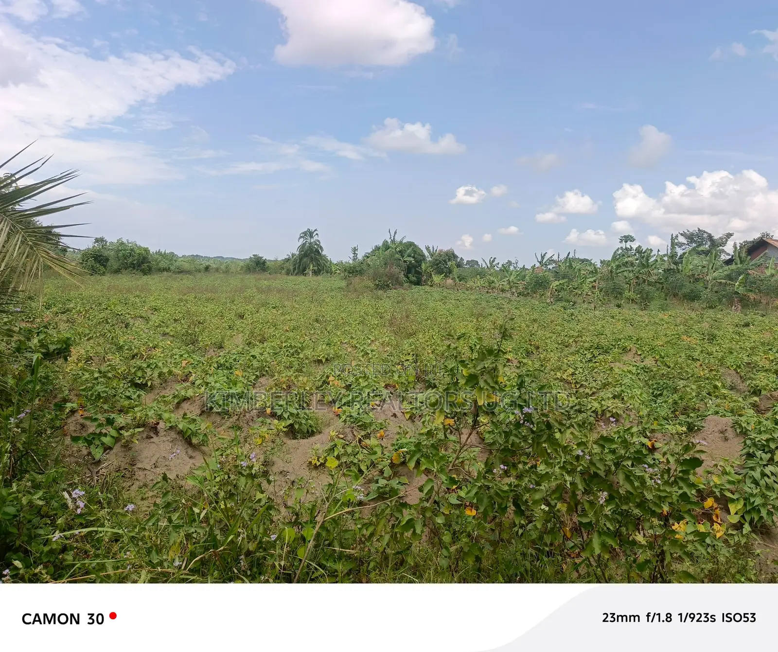 Commercial Land for Sale – Masaka Road