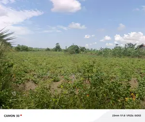 Commercial Land for Sale – Masaka Road
