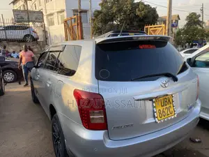 Toyota Corolla Fielder 2010 Silver