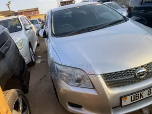 Toyota Corolla Fielder 2010 Silver