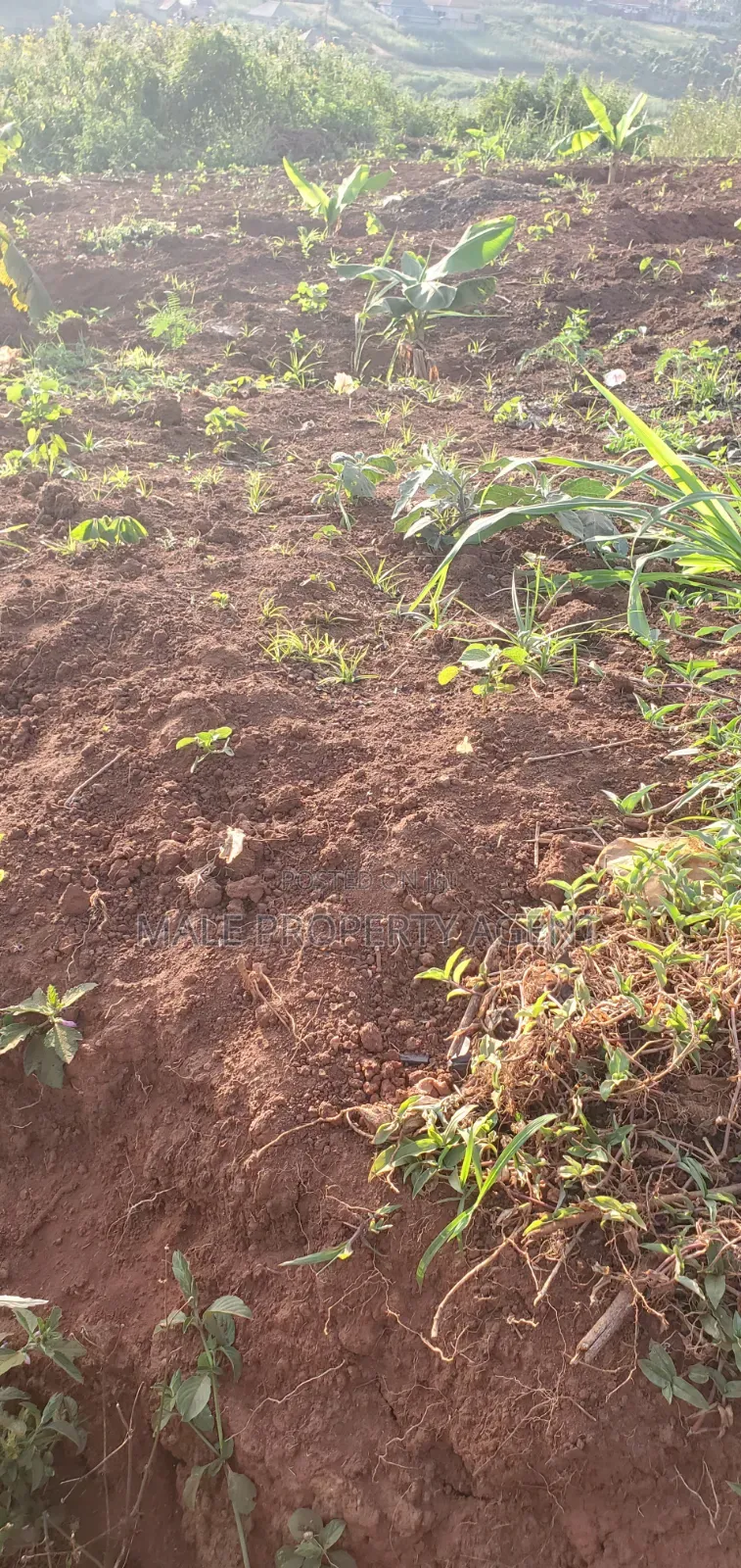 Land for Sell Masaka