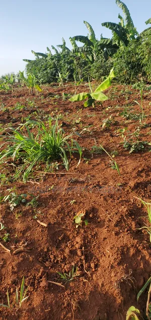 Land for Sell Masaka