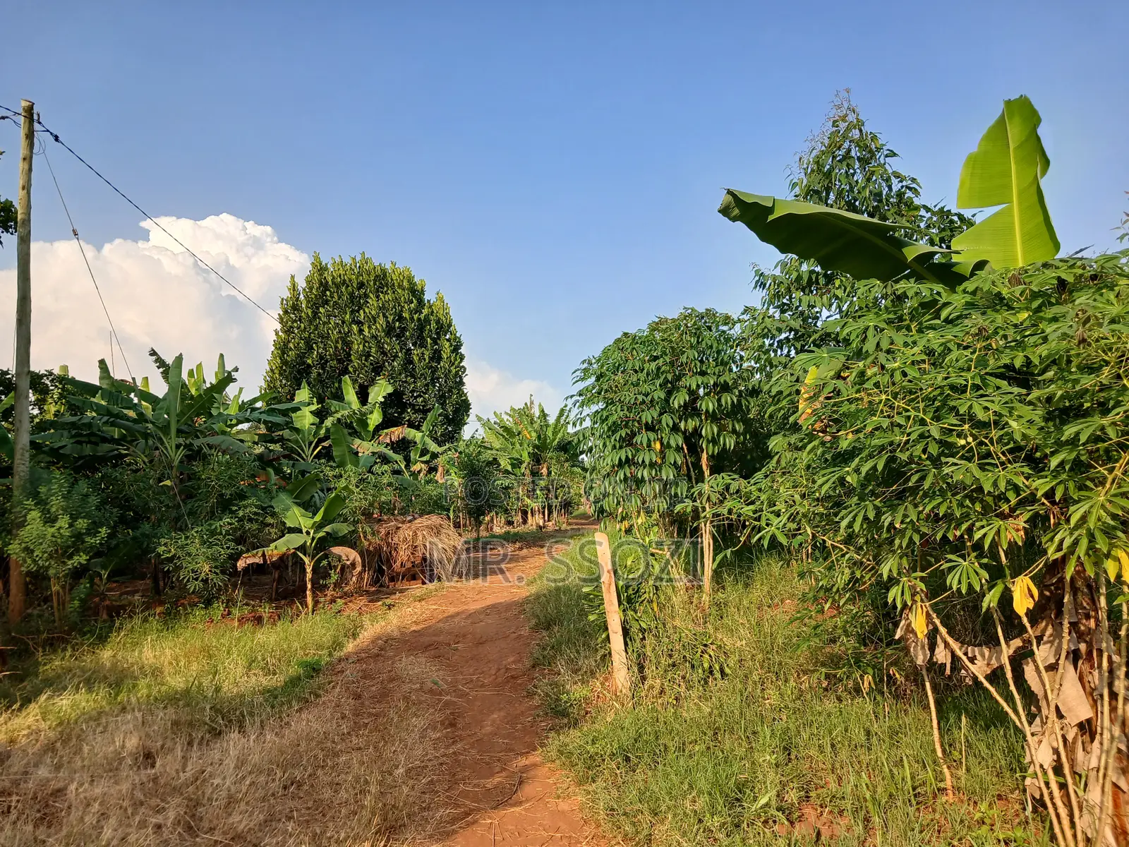 Land Sale at Busiika 0.085 Hectares