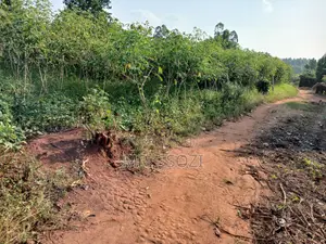 Land Sale at Busiika 0.085 Hectares