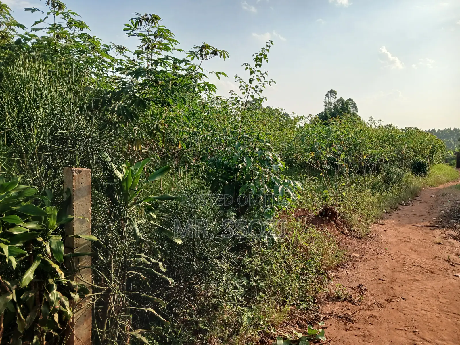 Land Sale at Busiika 0.085 Hectares