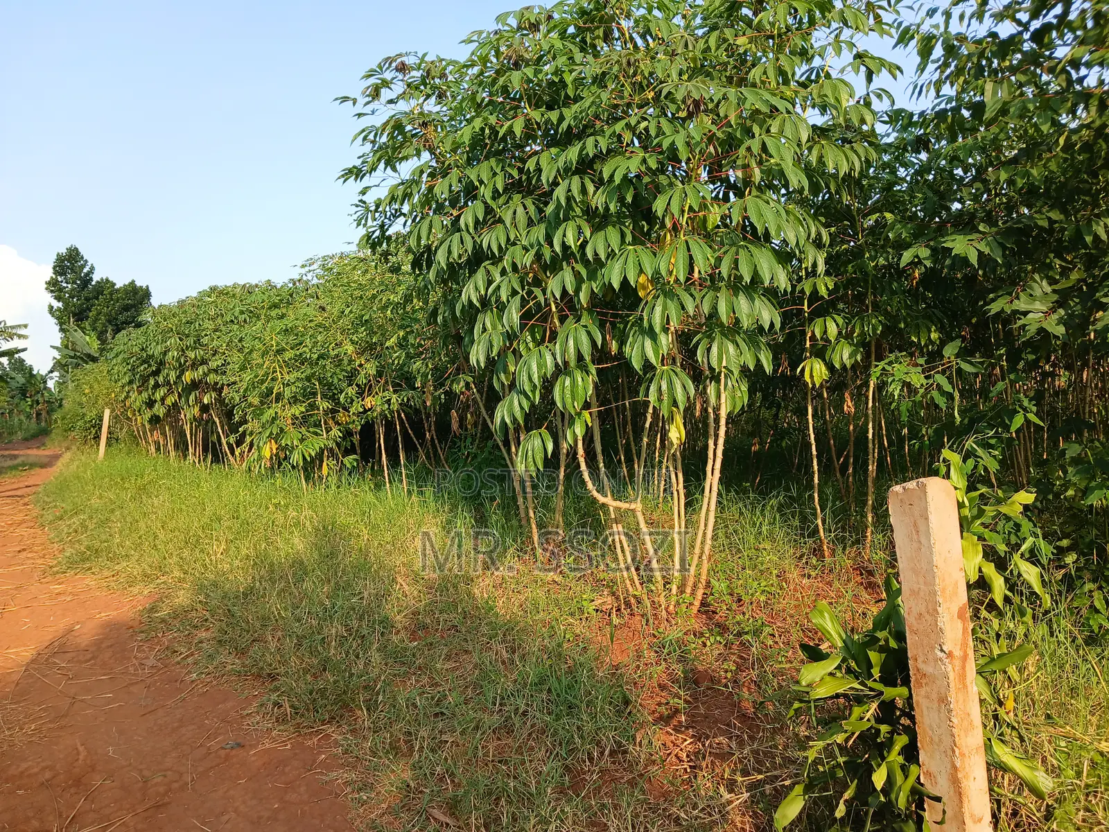 Land Sale at Busiika 0.085 Hectares