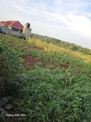 Namugongo, Nabusugwe Estate Plots