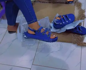 Flat Ladies Shoe